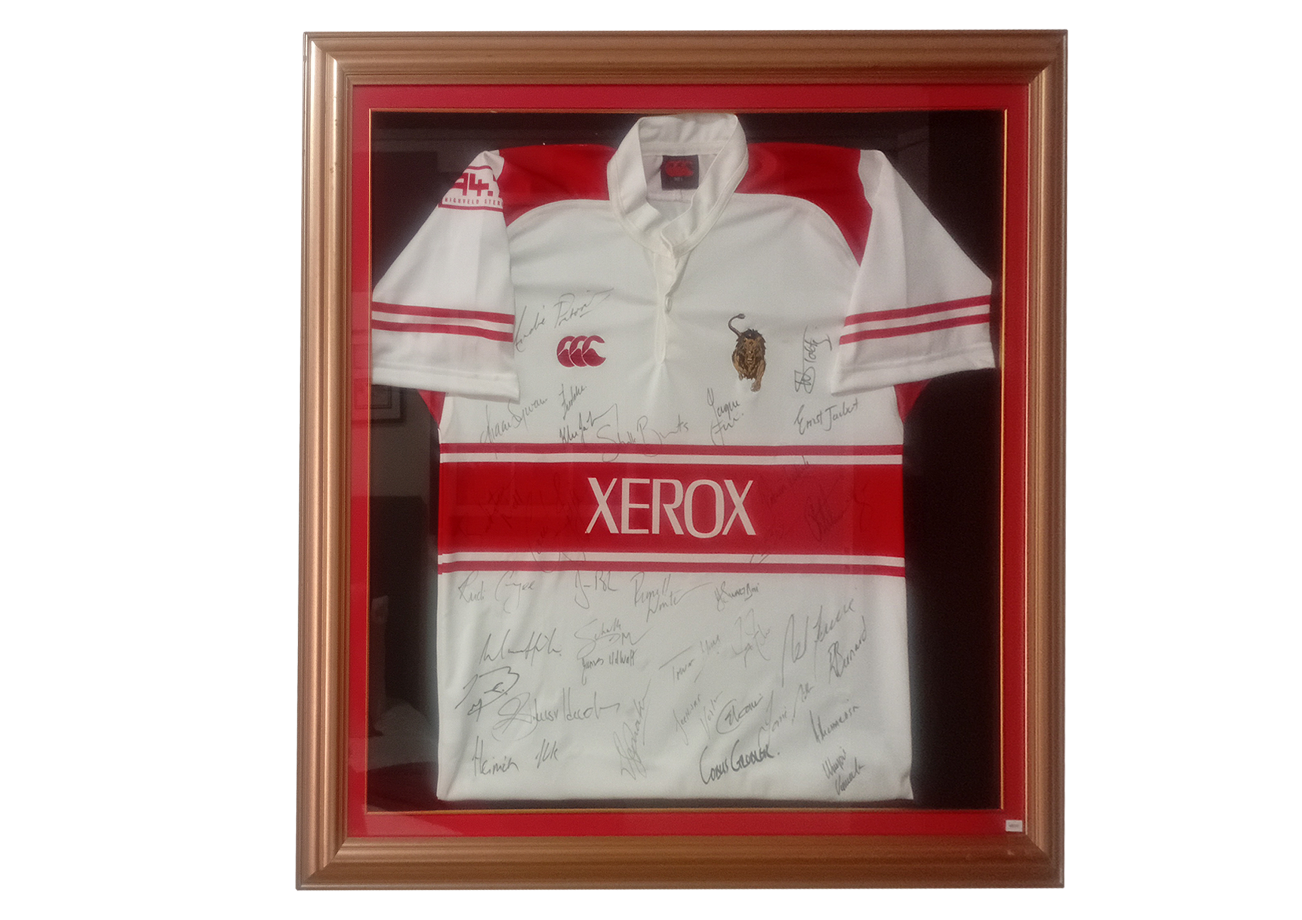 lions xernox
